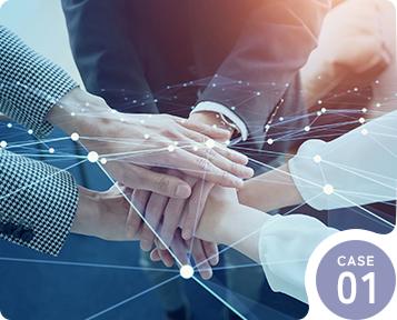 case 01